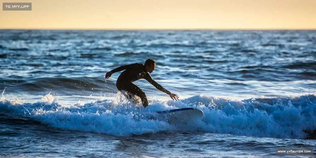 KY体育官网——🦾拳腿组合，攻防一体！